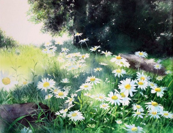 Художницы Yu Hoshino