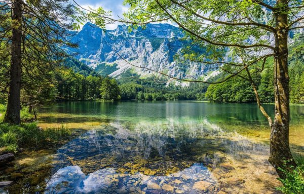 Озеро в лесу