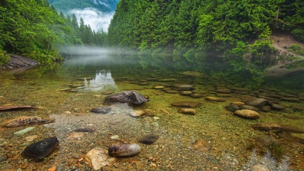 Родник ручей река озеро