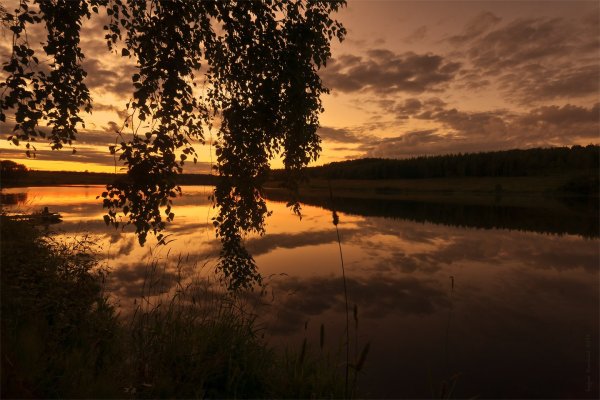 Тула природа