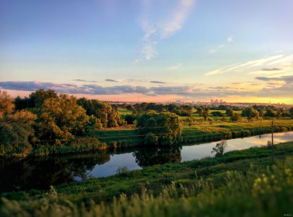 Природа Тулы и Тульской области