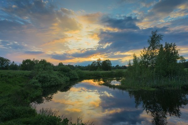 Природа Тульской Тульской области-