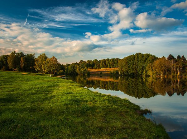 Природа Тульской области