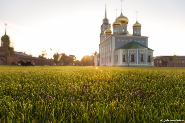 Тула природа