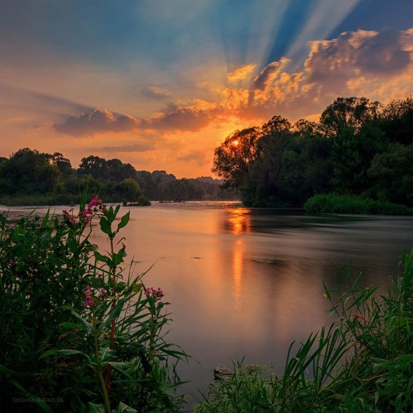 Река красивая меча Ефремовский район