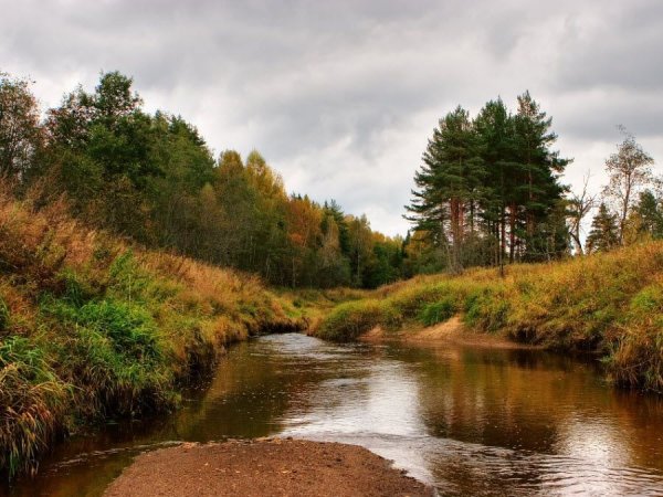 Кондуки Тульская область осень