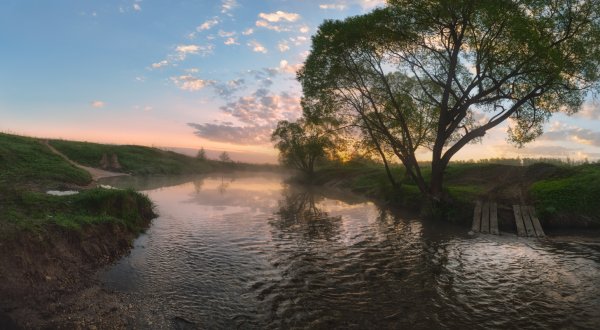 Природа города Тулы