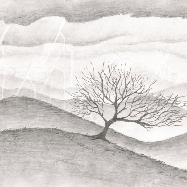 Рисунки простые но красивые