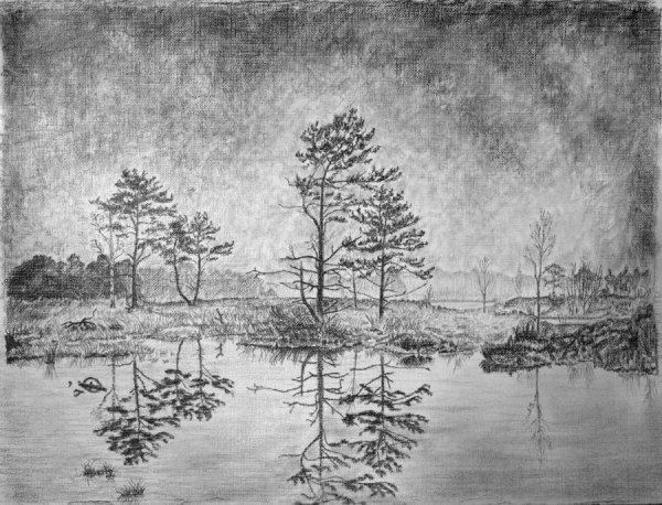 Графический пейзаж