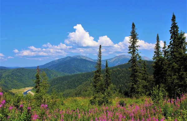 Кузнецкий Алатау гора Каным
