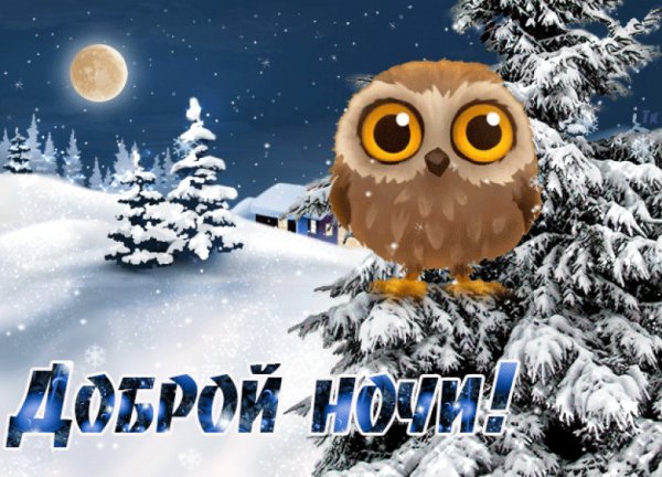 Приятных зимних снов