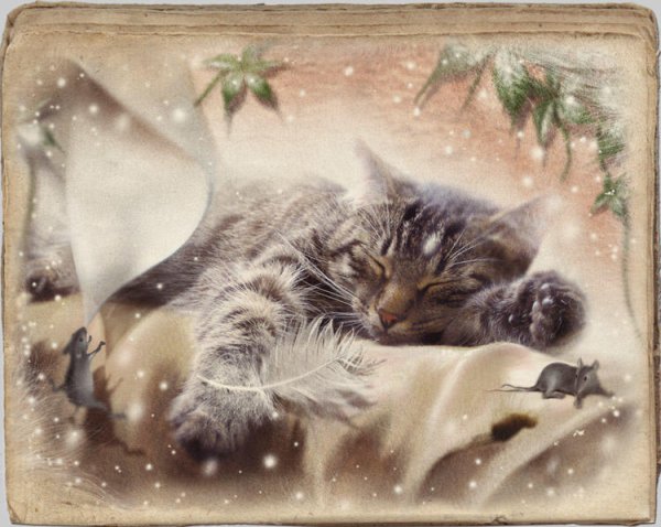 Спокойной ночи сладких снов