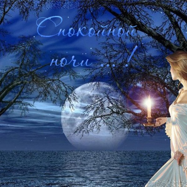 Спокойной зимней ночи