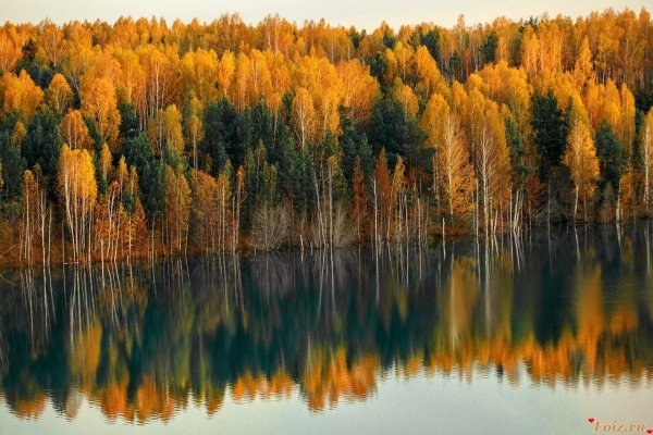 Тайга горной Шории