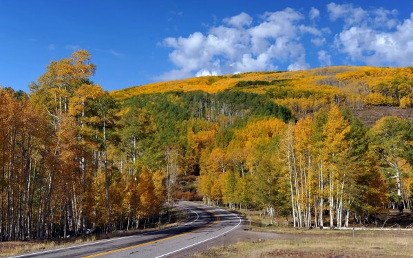 Природа Кузбасса Кемерово