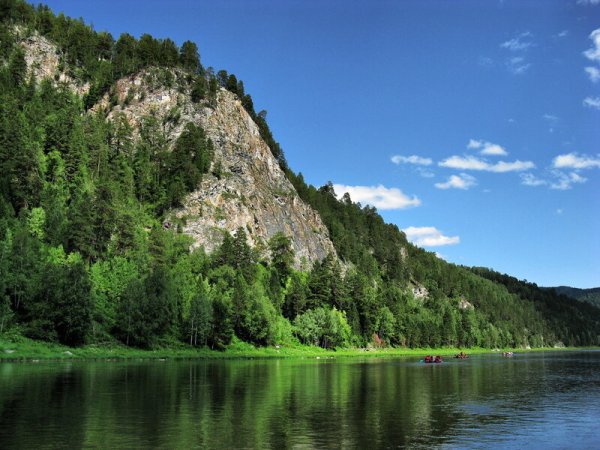 Кузнецкий Алатау заповедник Тайга