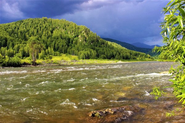 Тайга Кемеровская область лес