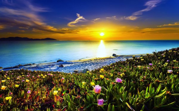 Природа море