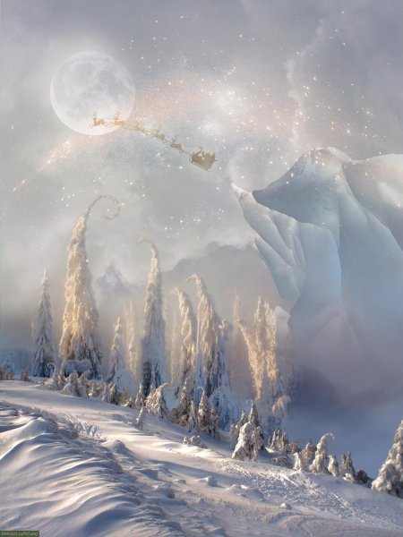 Снежная фантазия