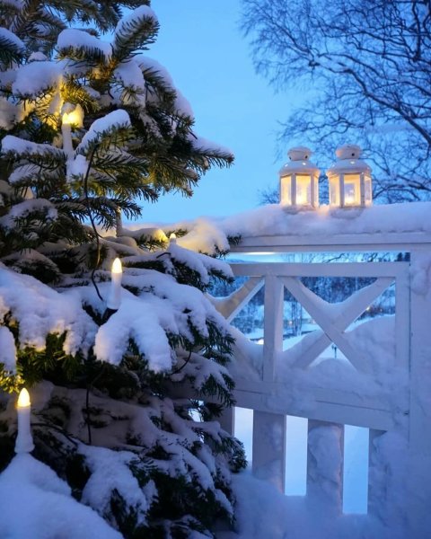 Домик в зимнем лесу