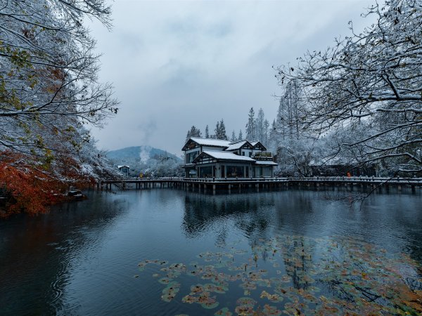 Золотой павильон в Киото