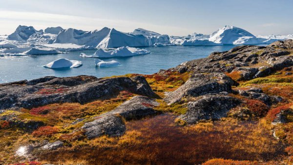 Ледниковый Фьорд Илулиссат Дания