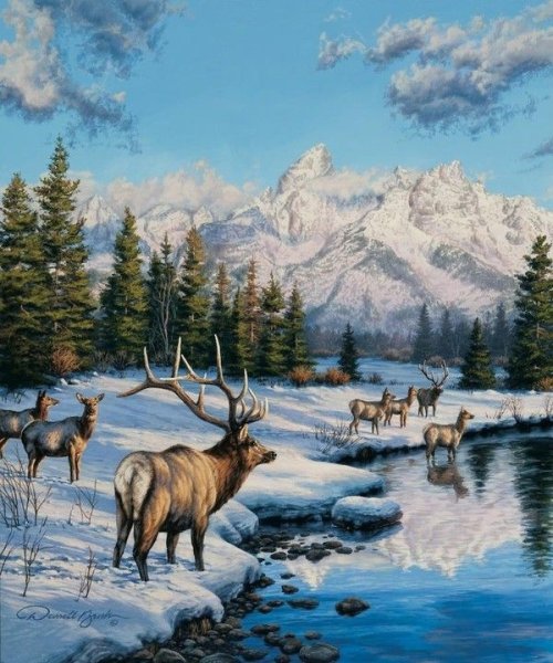 Художник Darrell Bush картины