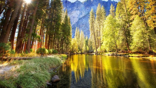 Красивая природа