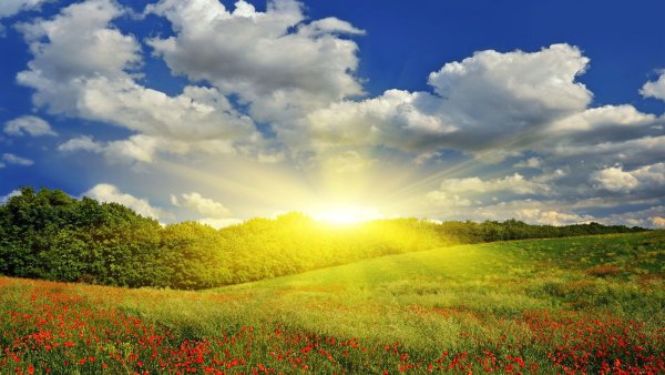 Солнце пейзаж