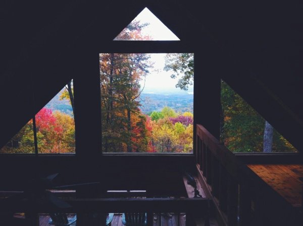 Эстетика вид из окна на лес