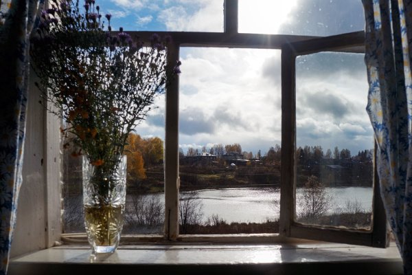 Красивый вид из окна