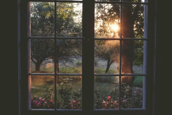 Фотообои окно видом на природу