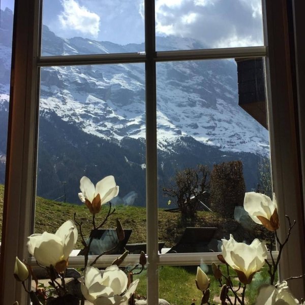 Пейзаж через окно