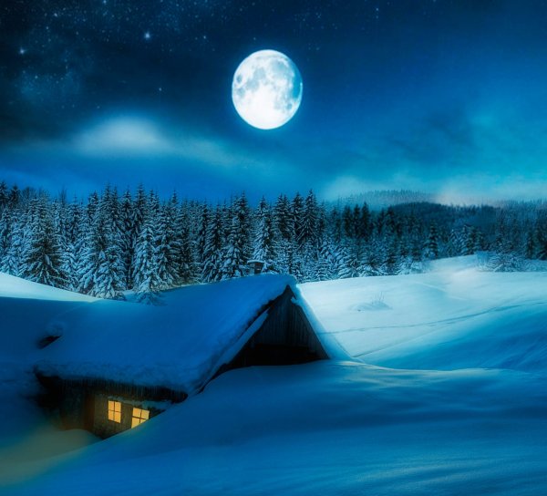 Сказочное зимнее дерево