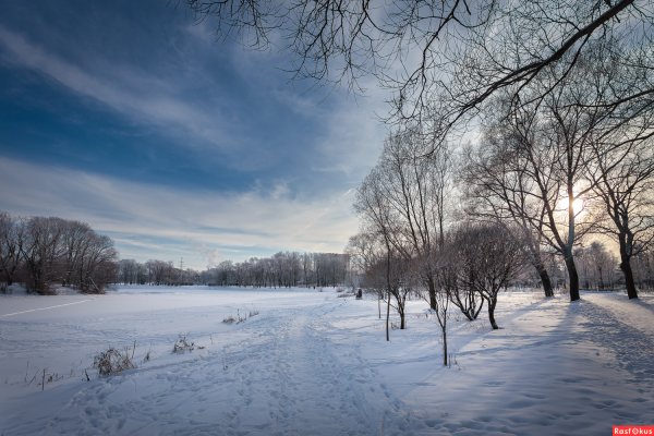 Парк зимой