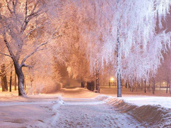 Сквер Минусинск зима