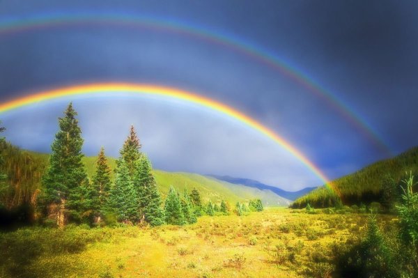 Радуга настоящая