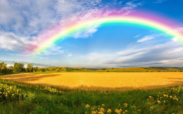 Радуга в степи