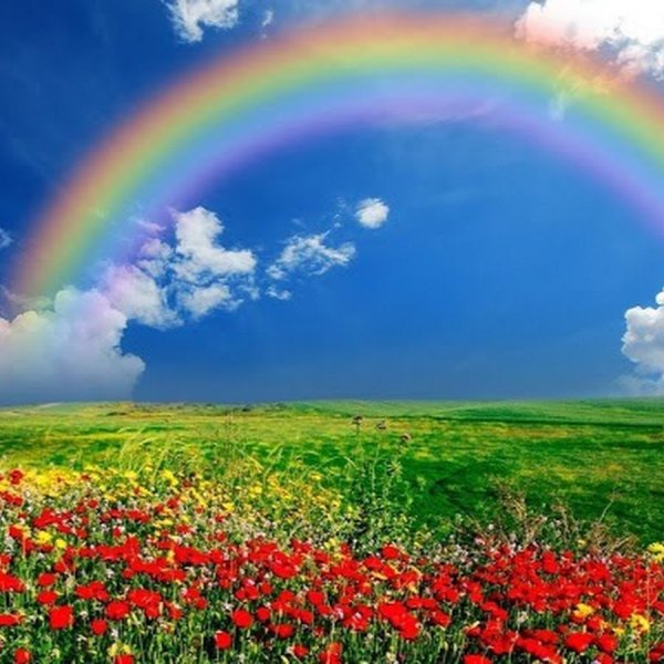 Красивая Радуга