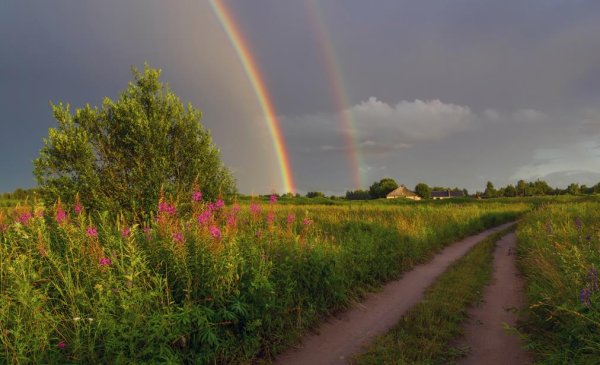 Радуга в поле