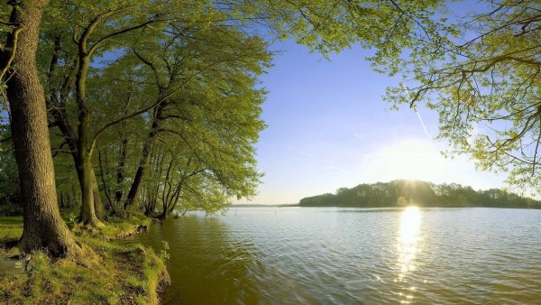 Летняя природа