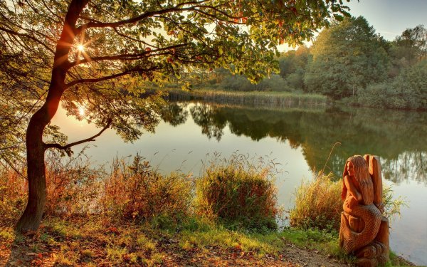 Природа лето озеро