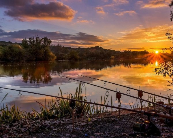 Летний закат у реки