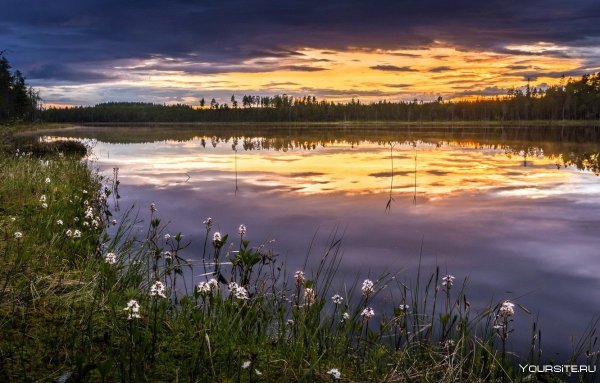 Вечер на берегу реки
