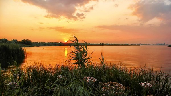 Летний пейзаж