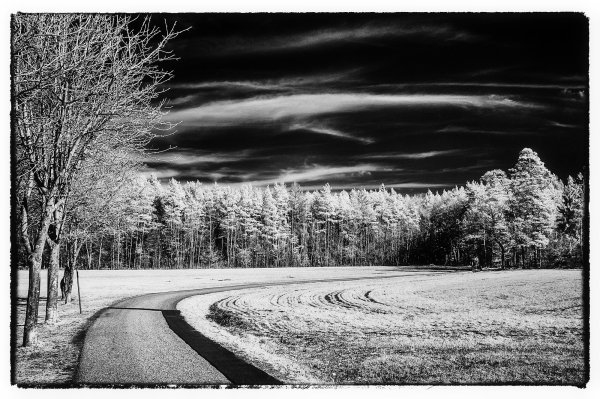 Монохромный зимний пейзаж