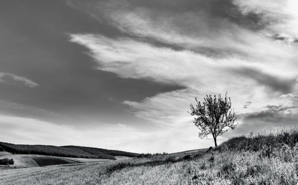 Монохромные пейзажи фото