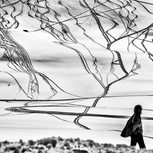 Розарио Чивелло