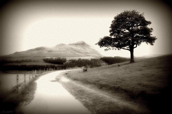 Красивые пейзажи монохром