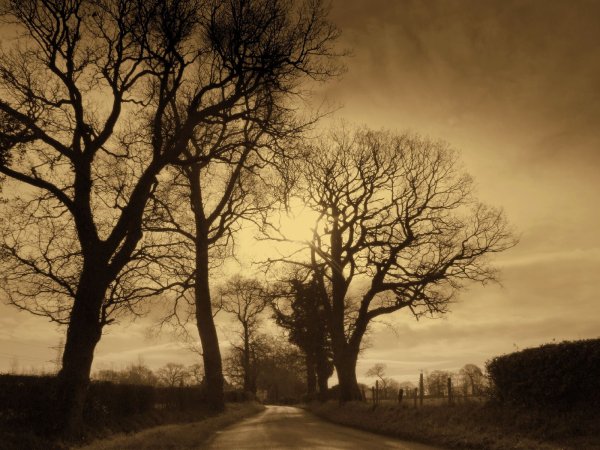 Монохром природа Англии